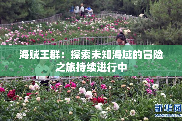 海贼王群：探索未知海域的冒险之旅持续进行中
