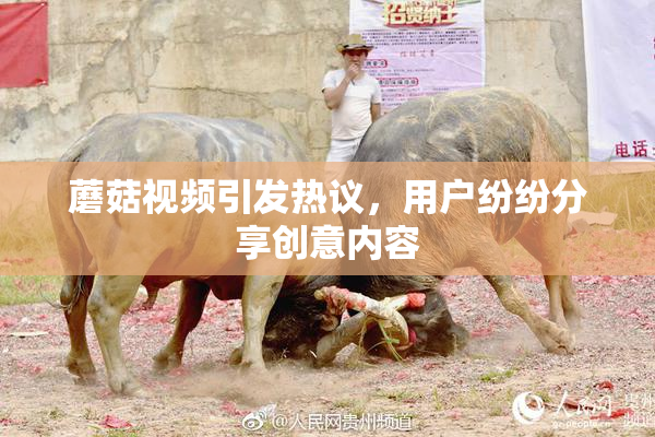 蘑菇视频引发热议，用户纷纷分享创意内容