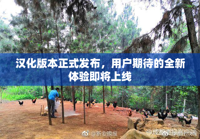 汉化版本正式发布，用户期待的全新体验即将上线
