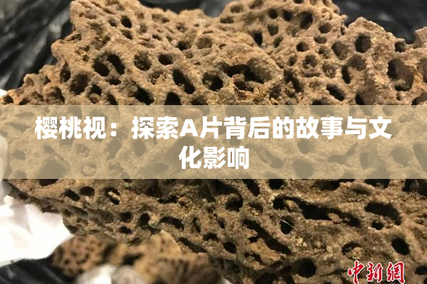 樱桃视：探索A片背后的故事与文化影响