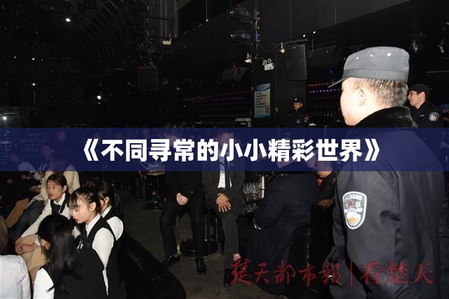 《不同寻常的小小精彩世界》
