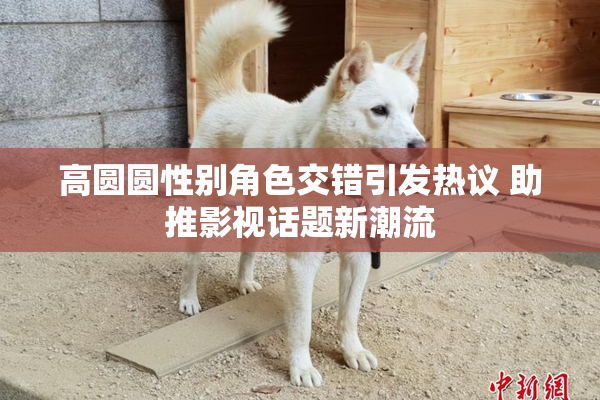 高圆圆性别角色交错引发热议 助推影视话题新潮流