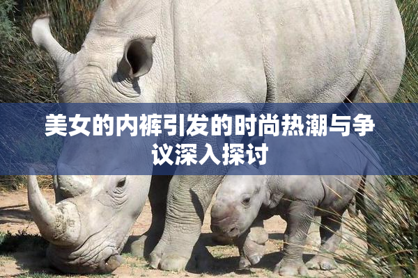 美女的内裤引发的时尚热潮与争议深入探讨