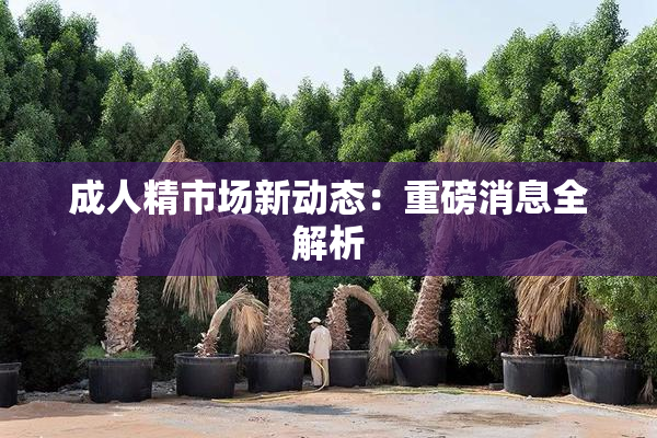 成人精市场新动态：重磅消息全解析