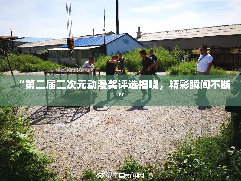 “第二届二次元动漫奖评选揭晓，精彩瞬间不断”