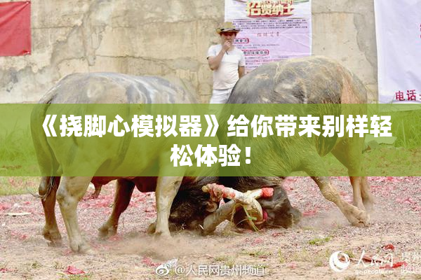 《挠脚心模拟器》给你带来别样轻松体验！