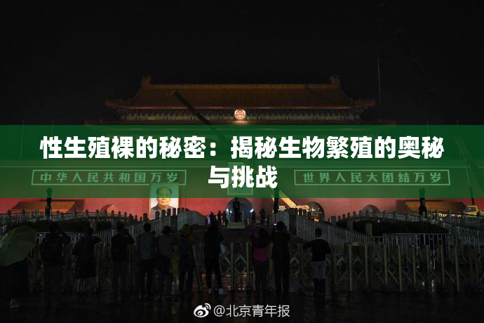 性生殖裸的秘密：揭秘生物繁殖的奥秘与挑战