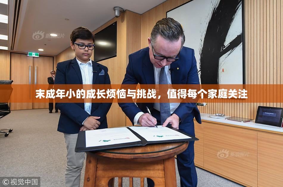 末成年小的成长烦恼与挑战，值得每个家庭关注