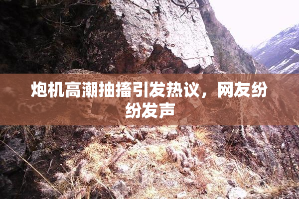 炮机高潮抽搐引发热议，网友纷纷发声