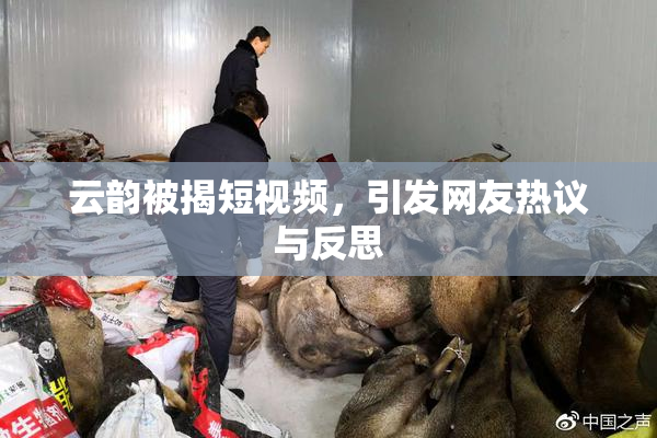 云韵被揭短视频，引发网友热议与反思