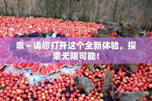 乖～请您打开这个全新体验，探索无限可能！