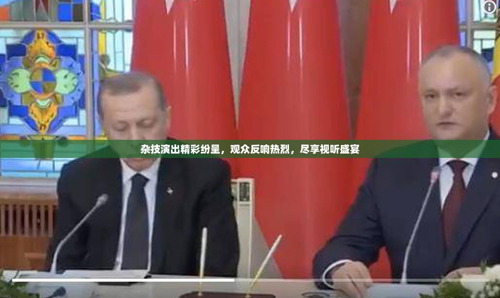 杂技演出精彩纷呈，观众反响热烈，尽享视听盛宴