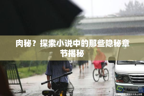 肉秘？探索小说中的那些隐秘章节揭秘