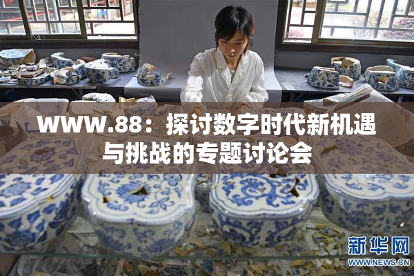 WWW.88：探讨数字时代新机遇与挑战的专题讨论会