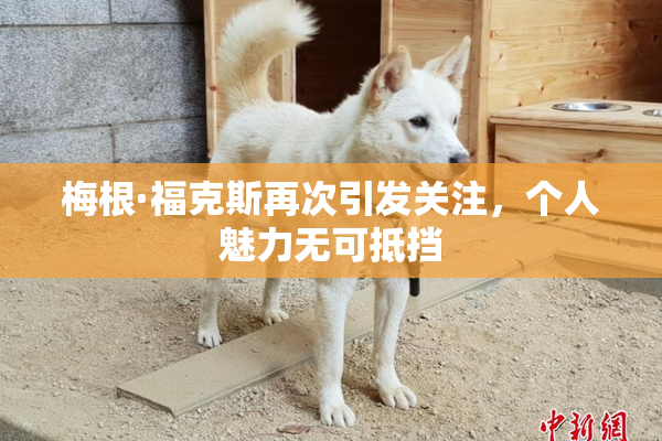 梅根·福克斯再次引发关注，个人魅力无可抵挡