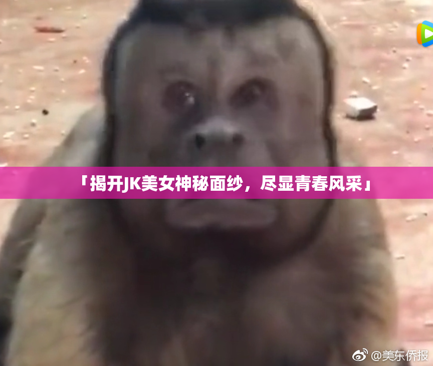 「揭开JK美女神秘面纱，尽显青春风采」