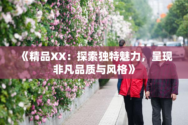 《精品XX：探索独特魅力，呈现非凡品质与风格》