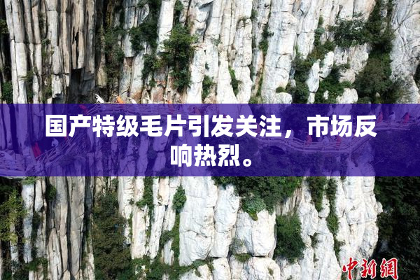国产特级毛片引发关注，市场反响热烈。