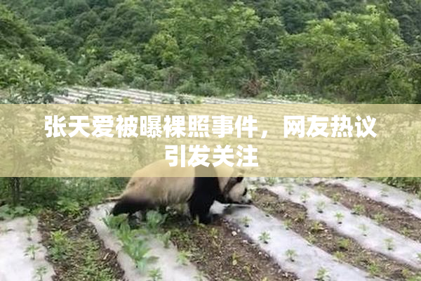 张天爱被曝裸照事件，网友热议引发关注