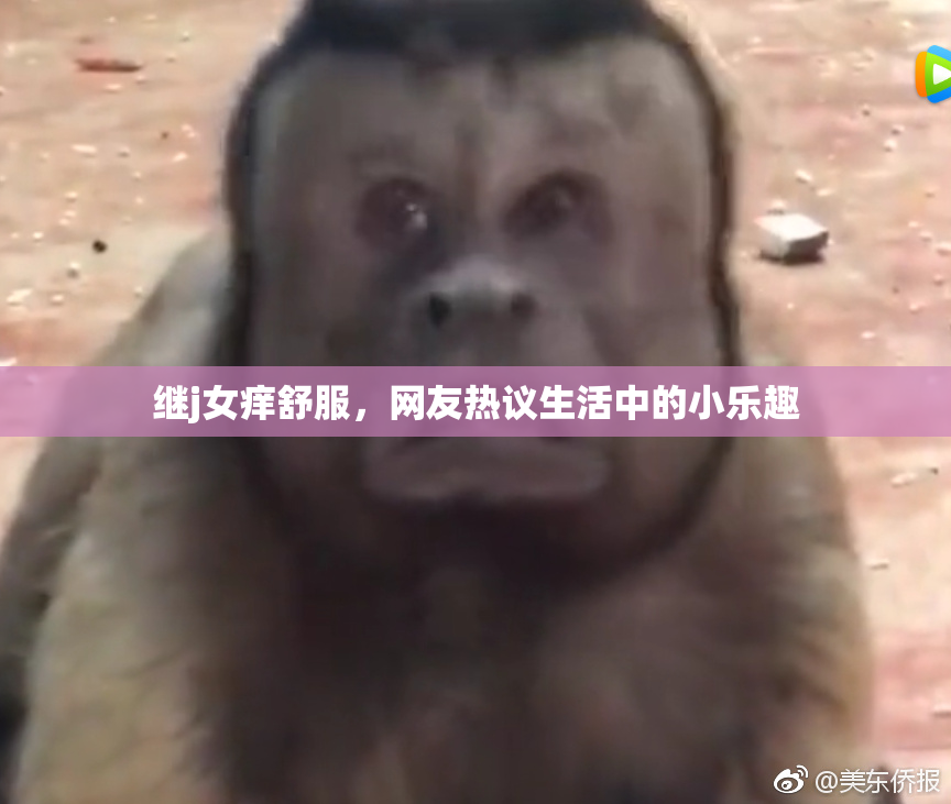 继j女痒舒服，网友热议生活中的小乐趣