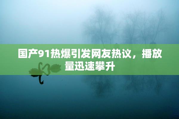 国产91热爆引发网友热议，播放量迅速攀升