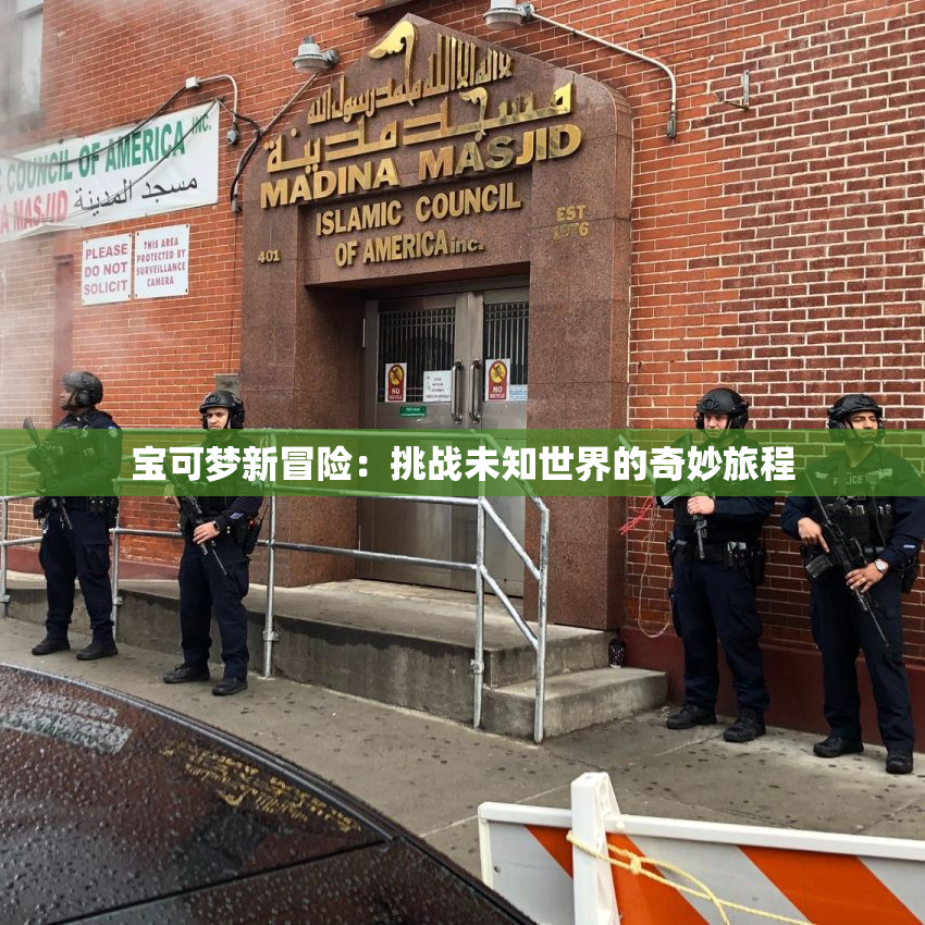 宝可梦新冒险：挑战未知世界的奇妙旅程