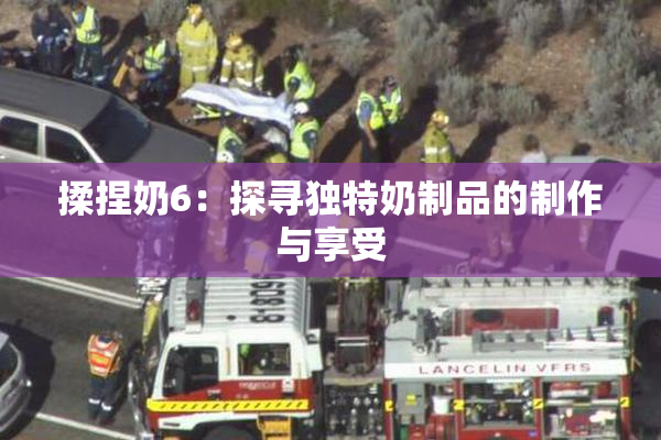 揉捏奶6：探寻独特奶制品的制作与享受