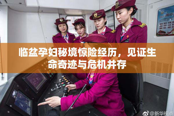 临盆孕妇秘境惊险经历，见证生命奇迹与危机并存