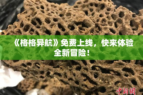 《格格异航》免费上线，快来体验全新冒险！