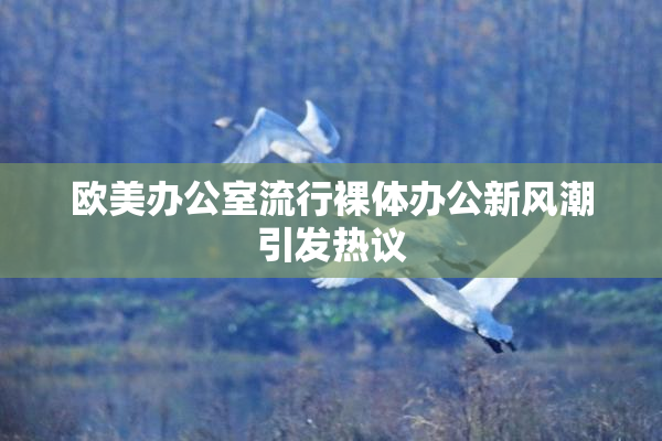 欧美办公室流行裸体办公新风潮引发热议