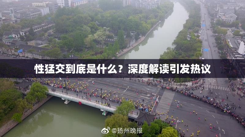性猛交到底是什么？深度解读引发热议