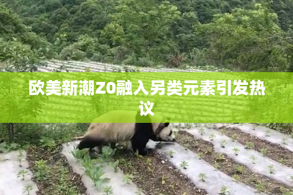 欧美新潮Z0融入另类元素引发热议
