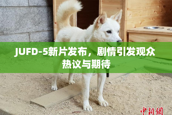 JUFD-5新片发布，剧情引发观众热议与期待