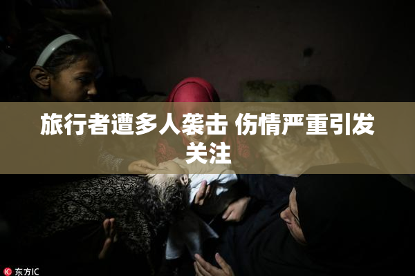 旅行者遭多人袭击 伤情严重引发关注
