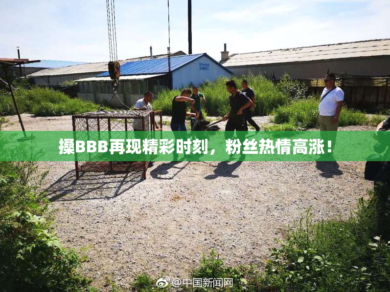 搡BBB再现精彩时刻，粉丝热情高涨！