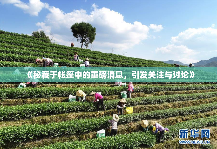 《秘藏于帐篷中的重磅消息，引发关注与讨论》