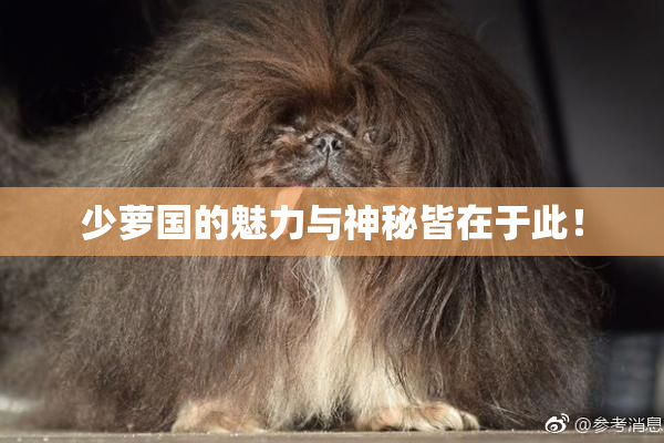 少萝国的魅力与神秘皆在于此！