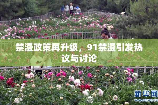 禁漫政策再升级，91禁漫引发热议与讨论