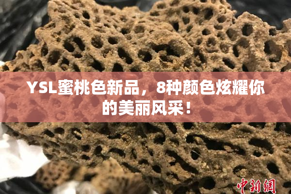 YSL蜜桃色新品，8种颜色炫耀你的美丽风采！