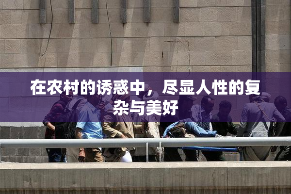 在农村的诱惑中，尽显人性的复杂与美好