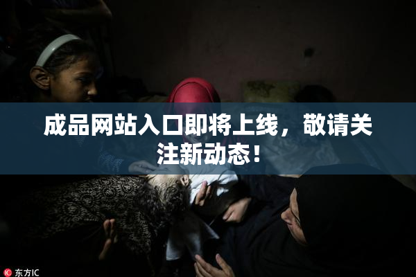 成品网站入口即将上线，敬请关注新动态！