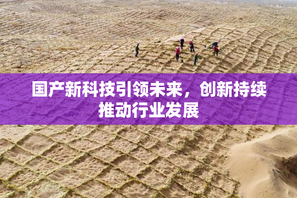 国产新科技引领未来，创新持续推动行业发展