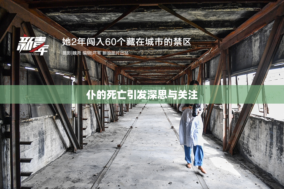 仆的死亡引发深思与关注