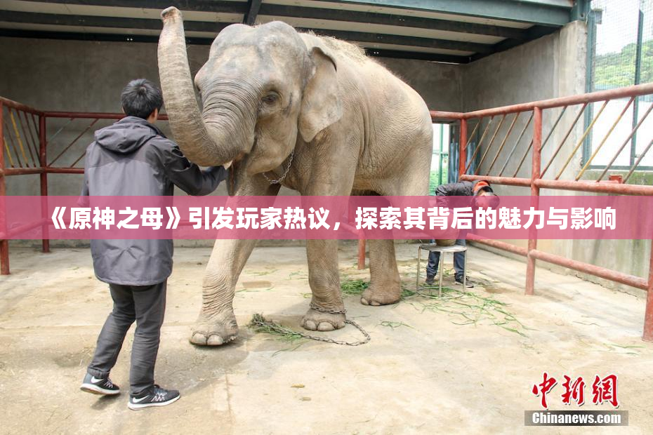 《原神之母》引发玩家热议，探索其背后的魅力与影响