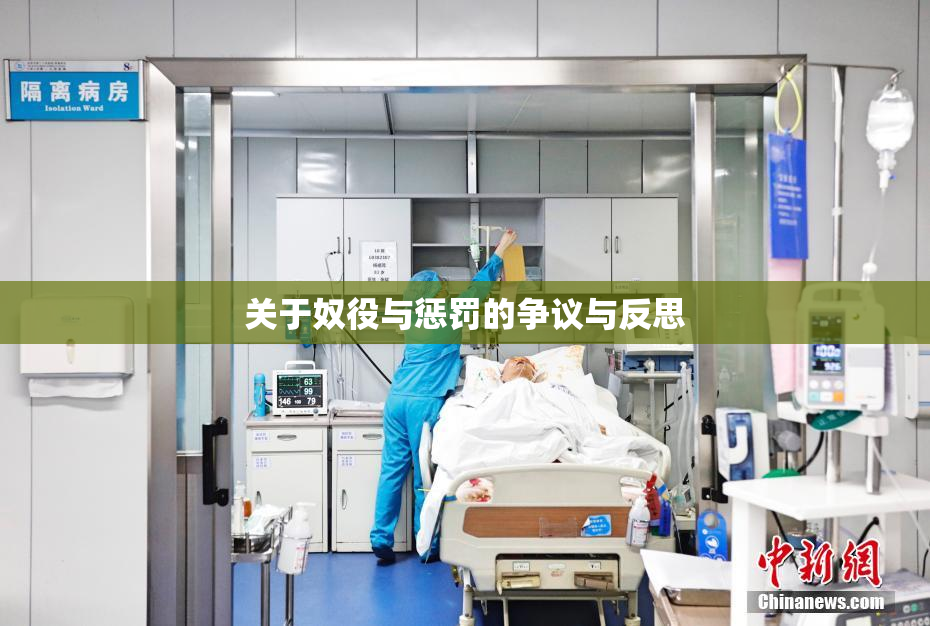 关于奴役与惩罚的争议与反思