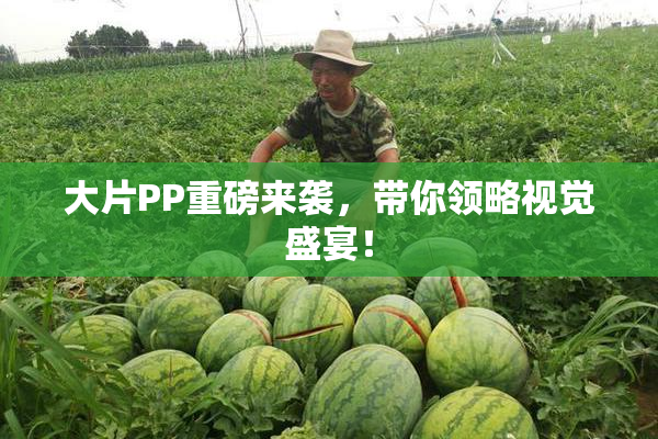 大片PP重磅来袭，带你领略视觉盛宴！