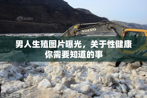男人生殖图片曝光，关于性健康你需要知道的事