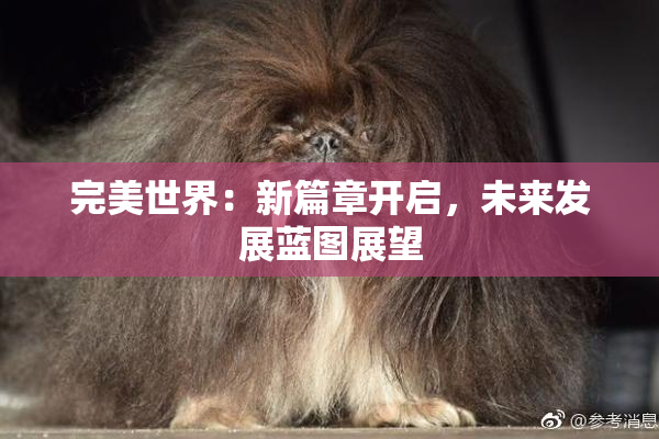 完美世界：新篇章开启，未来发展蓝图展望