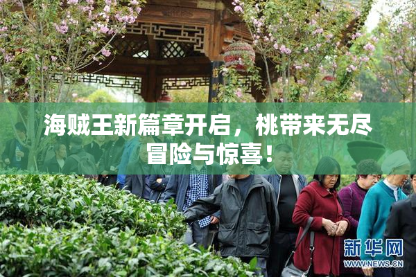 海贼王新篇章开启，桃带来无尽冒险与惊喜！