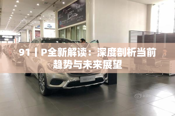 91丨P全新解读：深度剖析当前趋势与未来展望